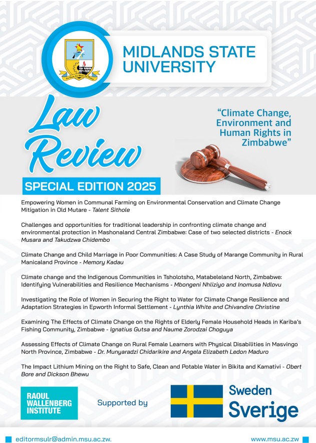 View 2025: Law Review SPECIAL EDITION 2025