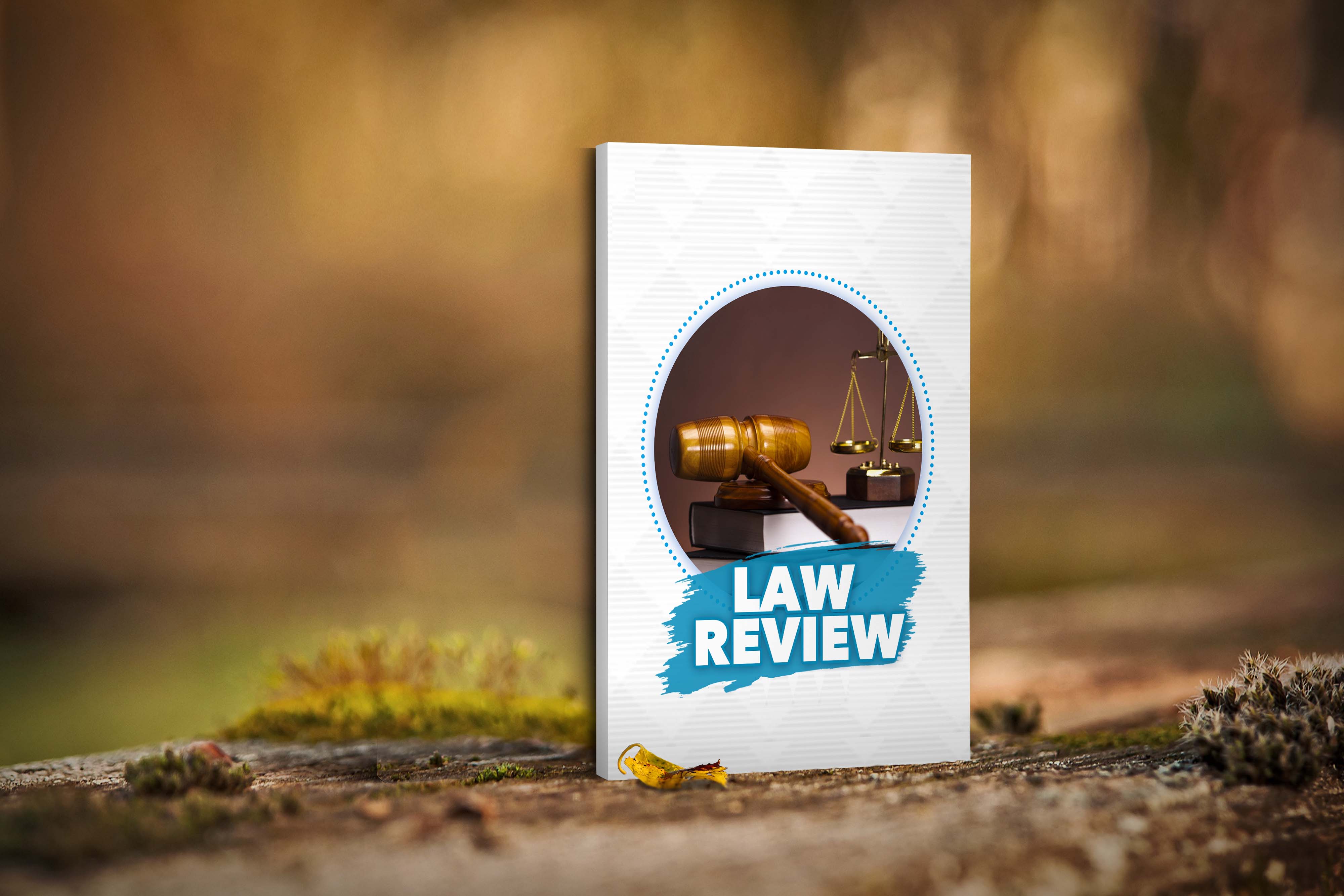 					View Vol. 1 (2026): MSU Law Review 2026 Issue
				